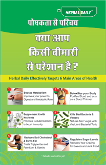 Herbal Daily Brochure